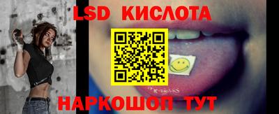 шишки Заволжье