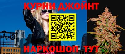 индика Ирбит