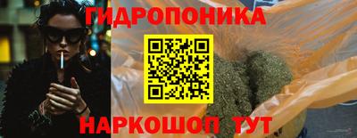 шишки Заволжье