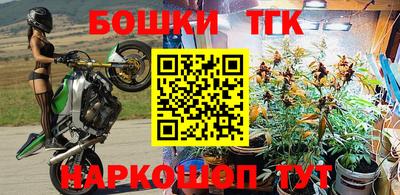 индика Ирбит
